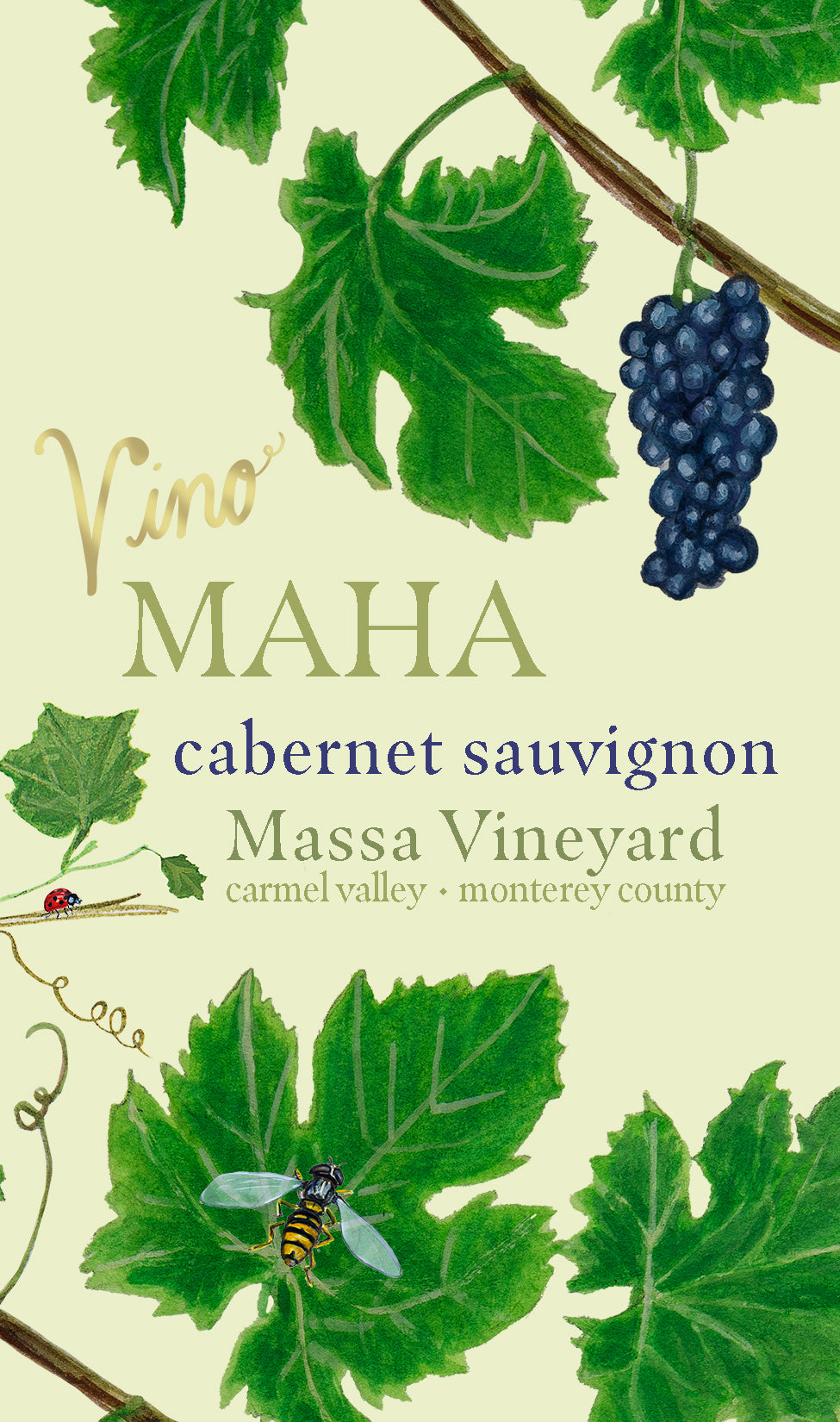 Cabernet Sauvignon - VinoMAHA